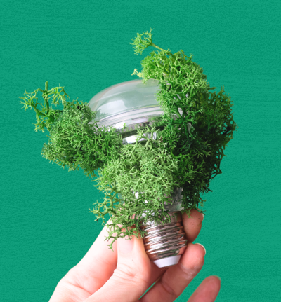 Lab biodiversité